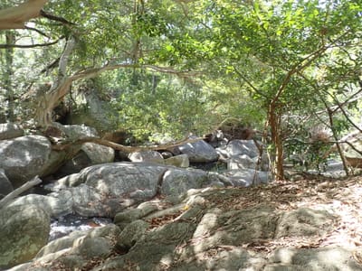 P9252657.JPG