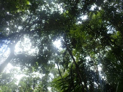P9280054.JPG