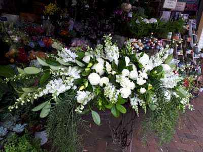 20171206_093717.jpg
