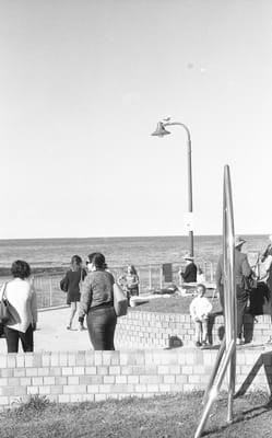 f3_008.jpg