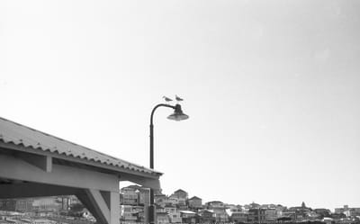 f3_009.jpg