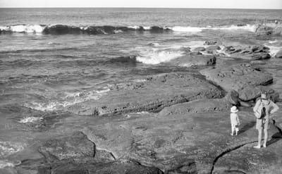 f3_020.jpg