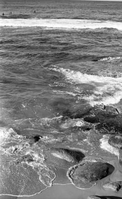 f3_021.jpg