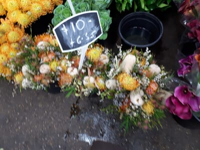 20171125_060536.jpg