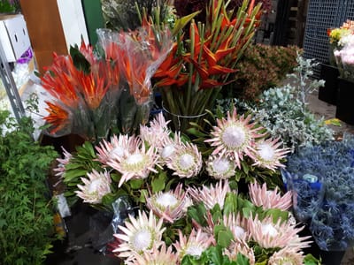 20171125_061011.jpg