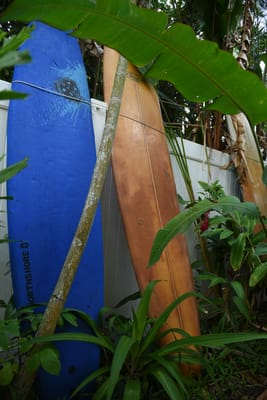 DSC_1720.JPG