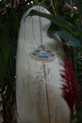 DSC_1721.JPG