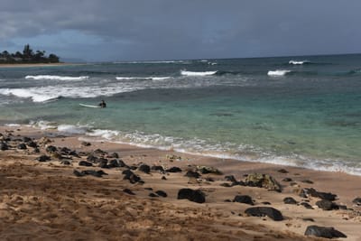 DSC_1728.JPG