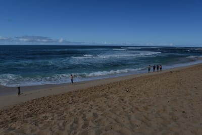 DSC_1731.JPG