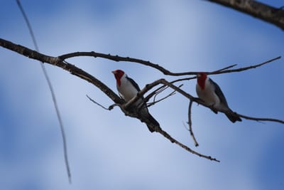 DSC_5035.JPG