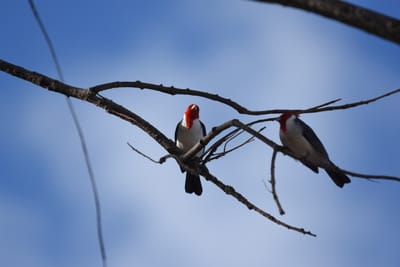 DSC_5036.JPG
