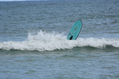 DSC_6309.JPG