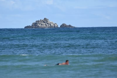 DSC_6354.JPG