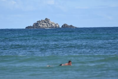 DSC_6355.JPG