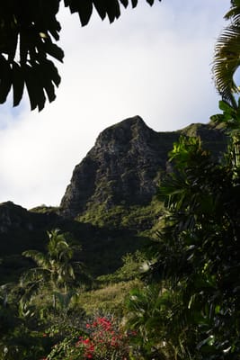 DSC_1836.JPG