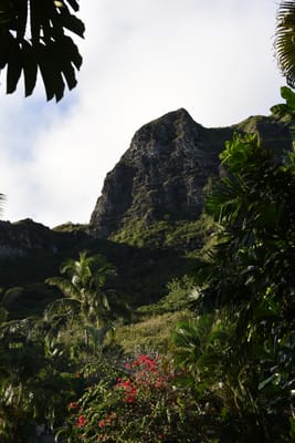 DSC_1837.JPG