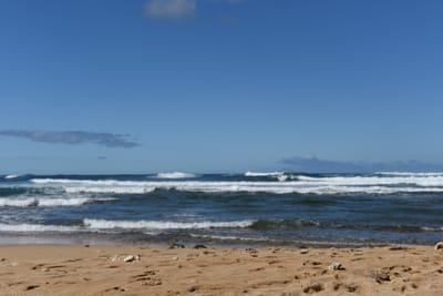 DSC_1849.JPG