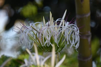 DSC_6359.JPG