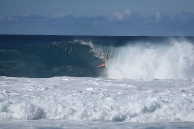DSC_1908.JPG