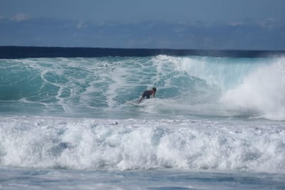 DSC_1981.JPG