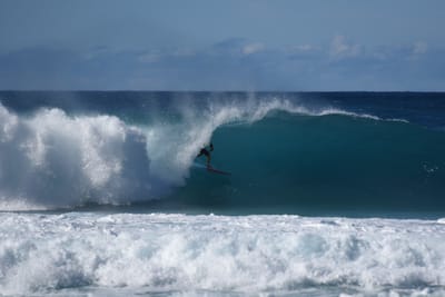 DSC_2016.JPG