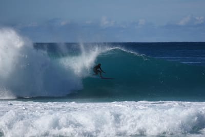 DSC_2017.JPG