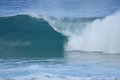 DSC_7015.JPG