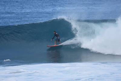 DSC_7025.JPG