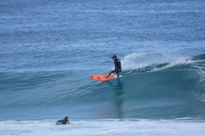 DSC_7029.JPG