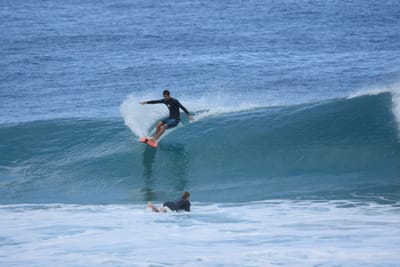 DSC_7031.JPG