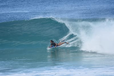DSC_7033.JPG