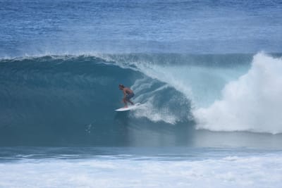 DSC_7036.JPG