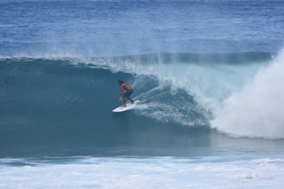 DSC_7038.JPG