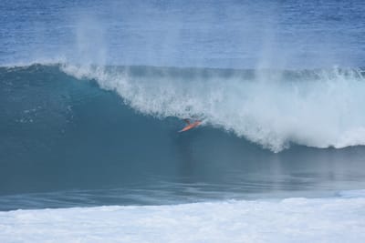 DSC_7049.JPG