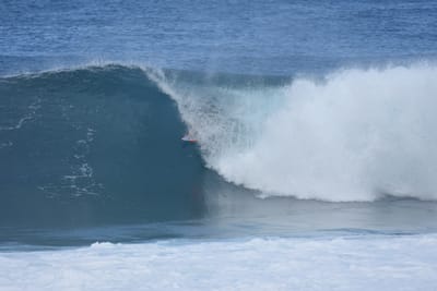 DSC_7050.JPG
