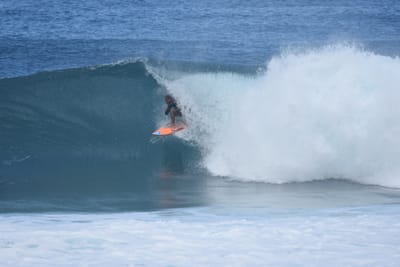 DSC_7053.JPG