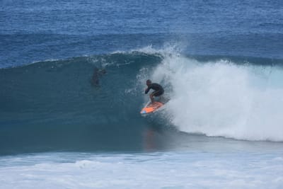 DSC_7055.JPG