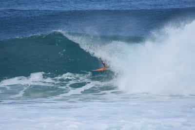 DSC_7060.JPG