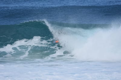 DSC_7061.JPG
