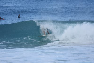 DSC_7071.JPG