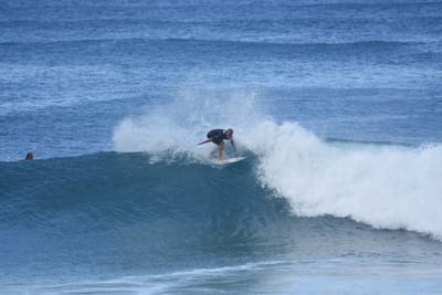 DSC_7075.JPG
