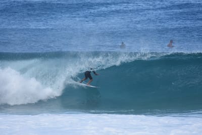 DSC_7081.JPG