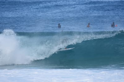 DSC_7082.JPG
