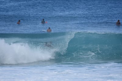 DSC_7083.JPG