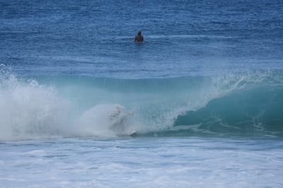 DSC_7084.JPG