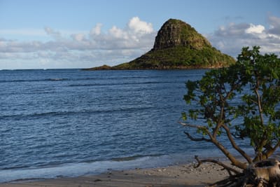 DSC_2204.JPG