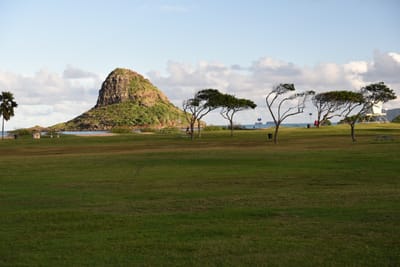 DSC_2210.JPG