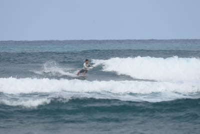 DSC_8134.JPG