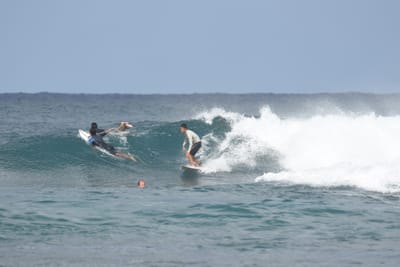 DSC_8136.JPG