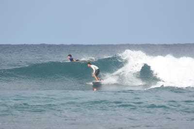DSC_8138.JPG